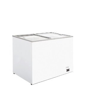 Conservateur DFF 300 L